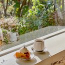 카페 포카오 이미지