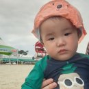비엔베뉴 | 🌊울산 진하해수욕장 뷰맛집 펜션, 비엔베뉴 숙박 후기! (5세 아이와 9개월 아기와 함께)
