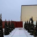 스테이연 이미지