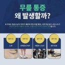삼성마디탑정형외과의원 | 야탑정형외과 무릎 통증이 반복된다면 연골 상태를 확인 필수
