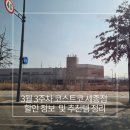 11590-3 | 코스트코 세종점 3월 3주차 세일 총정리｜신상품·추천템·가격 후기까지