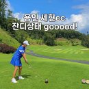 세현CC | 용인 세현cc 경기도골프장 후기 잔디 상태 좋네