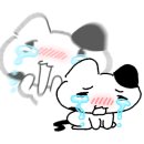 디테일리 이미지