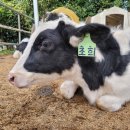 동건목장 이미지