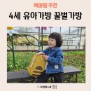 꿀벌 | 4세 유아가방 어린이날 선물로 골랐는데 매일 찾는 꿀벌가방 후기