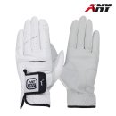 애니 골프 이미지