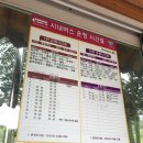 26 | 전남 겹벚꽃 명소 순천 선암사 뚜벅이 26년 4월 20일 방문 후기