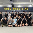 골드레슬링 이미지