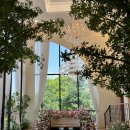 계백로(유성-26) | 대전 웨딩홀투어 라비에벨 후기 26년 하반기 견적 계약X