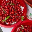 보리수약국 이미지