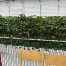 명수농장2 이미지