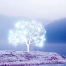 자연-어울림 이미지