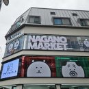 홍대 제로퍼센트 나가노마켓 팝업스토어 방문 후기 6월 중순 입고 예정 신상까지!