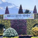 중앙체육공원 | 익산 가볼 만한 곳 중앙 체육공원 천만 송이 국화축제 후기