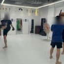 히트앤핏 역삼 네이버블로그