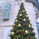 하쿠나마타타헤어 이미지