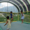 행복빌리지캠핑장 이미지