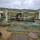 창연농장 이미지