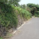 회수동-4 이미지