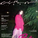 한아름정보