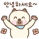 제주스런서귀포 이미지