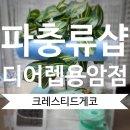 파충류샵디어렙청주