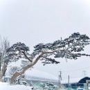 수지원 이미지