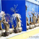 영주예찬 이미지