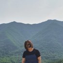 태선생 운동건강연구원(저스트바디짐) 네이버블로그