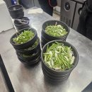 순천식당 | 순천 맛집, 국밥 한 그릇에 수육이 서비스? 순천 웃장 '제일 식당' 현지인 추천 후기