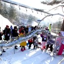 장흥 자연휴양림 이미지