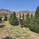 전정금농장 이미지