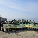 강화군 화도면 이미지