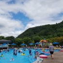 엘리시안강촌수영장 이미지