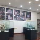 충주 비내캠프 체험학습장 네이버블로그
