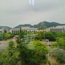 사파동290 이미지