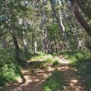 장자산체육공원 이미지