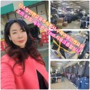 주식회사 교육여행 이미지