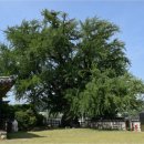 부여(홍산)-11 이미지