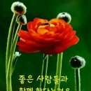 머물다 이미지