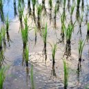 업장을 소멸하는 가장 빠른 방법, 정토회 20190610 이미지