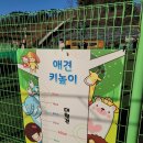 애견운동공원(11~2월) 이미지