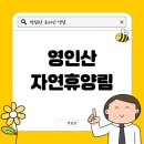 영인산자연휴양림 | 영인산 자연휴양림 물놀이장 후기! 여름 피서지 추천