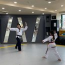 현대태권도 이미지