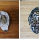 바다수퍼해물천하 조개구이찜 구의점 이미지