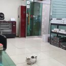 공임나라 선암점 이미지