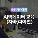 누구나 쉽게 배우는 파이썬 기초부터 데이터 시각화 | 울산파이썬학원 AI데이터분석·자바·개발자 취업!