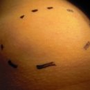 새봄외과의원 이미지