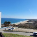 통일기원 미륵대불 이미지