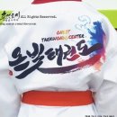 자이온 태권도 이미지